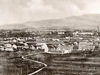 Južno kukuruzište i donji dio produžene Preradovićeve ulice (do 1876. godine Svilarska ulica) koja ide do Savskoga kupališta i skele u Trnju, 1880. godine